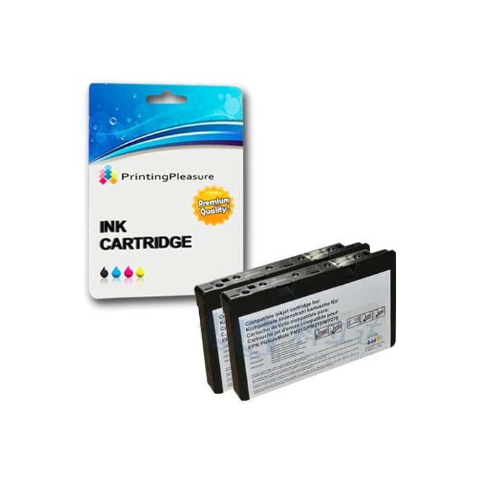 Buy 2 Compatible T573 C13T573040 Ink 