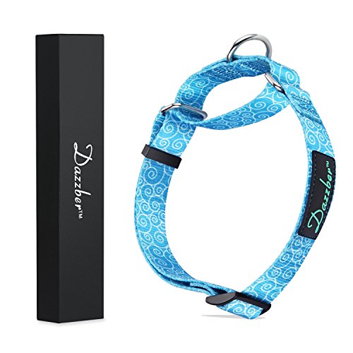 Dazzber Martingale Collars for Dogs, Sky Blue, Large, Neck 17"-25", Dog Collar No Pull No Escape for Walking Training