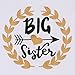 Baby Girl Big &Little Sister Bodysuit Tops Bowknot Striped Skirts Dress Set (2-3 Years, Big Sister)