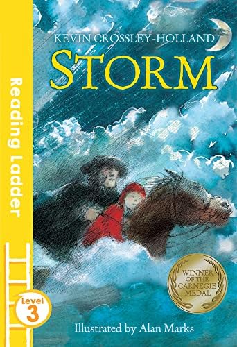 Reading Ladder Storm