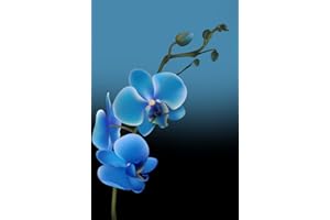 Blue Orchid Password Keeper Internet Password Book: A Discreet Hardcover “Find it Fast” Passwords Logbook with Big Alphabetical Tabs, Plus Sections to ... | The Ideal Organizer for Teens to Seniors