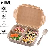Bento Box for Kids, Leakproof Lunch Box With 3 Compartments, FDA Approved and BPA-Free, Ideal for Meal Prep Container (Champagne)