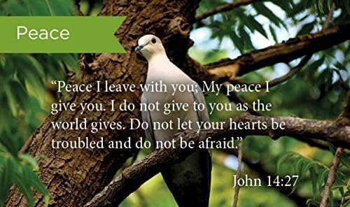 Pass Along Pocket Scripture Cards, Peace, John 14:27, Pack Of 25