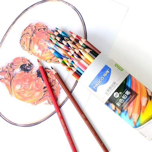 MARCO Professional Art Lovers Colouring Pencils Set 48 Colours Thick Oil Chalk Leads in Wooden Pencils Series D4300 A Popular Choice for Professional Painters and Painters
