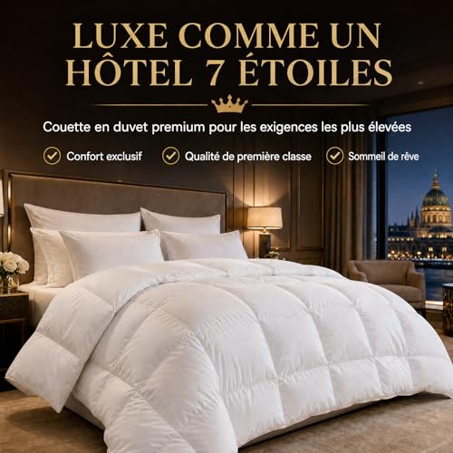 Yalamila Couette 200x200 4 Saisons | pour lit 2 Personnes | Couette Plumes & Duvet d'oie |100% Coton | Édredon Ultra Douce et Gonflant | Certifiée Oeko-Tex | Lavable en Machine，Blanc