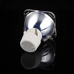 XIM Replacement Arc Bare Lamp for BL-FU195A