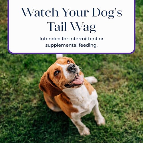 BLUE BUFFALO BASICS DOG BISCUITS, SKIN & STOMACH CARE CRUNCHY DOG TREATS, TURKEY RECIPE, 6-OZ BAG