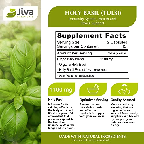Jiva Botanicals Holy Basil Capsules Premium Tulsi Holy Basil Supplement Organic Holy Basil