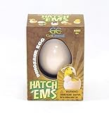 Dinosaur Hatch 'Ems Egg