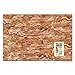 Accoutrements Bacon Gift Wrap