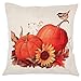 ZUEXT Fall Harvest Pumpkin Throw Pillow Covers 18x18 Inch, Set of 4 Cotton Linen Autumn Thanksgiving Pillowcases, Square Halloween Pillow Covers for Car Sofa Bed Couch, Farmhouse Thanksgiving Gifts