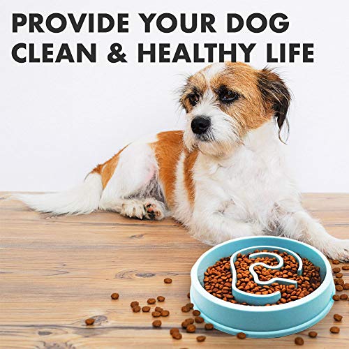 QuetZYan Slow Eating Pet Bowl Slow Maze Bowl Bloat Stop Dog Bowl Slow