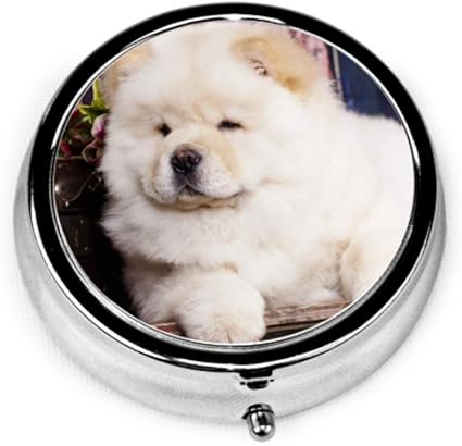 small chow chow dog