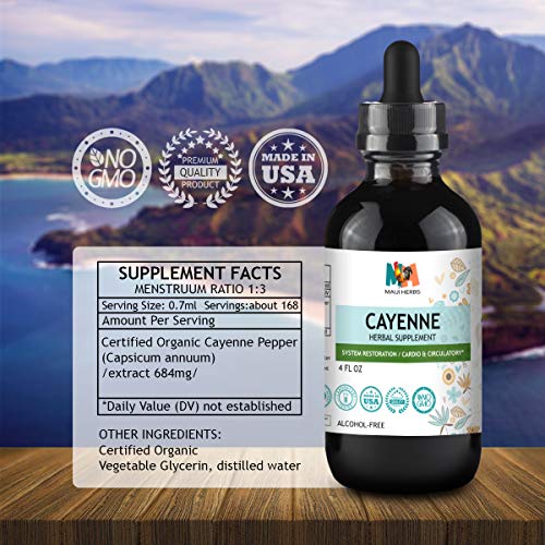 Cayenne Tincture 4 FL OZ AlcoholFree Extract, 90 000 HU Organic