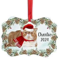Bicolor Exotic Shorthair Cat Christmas Ornament