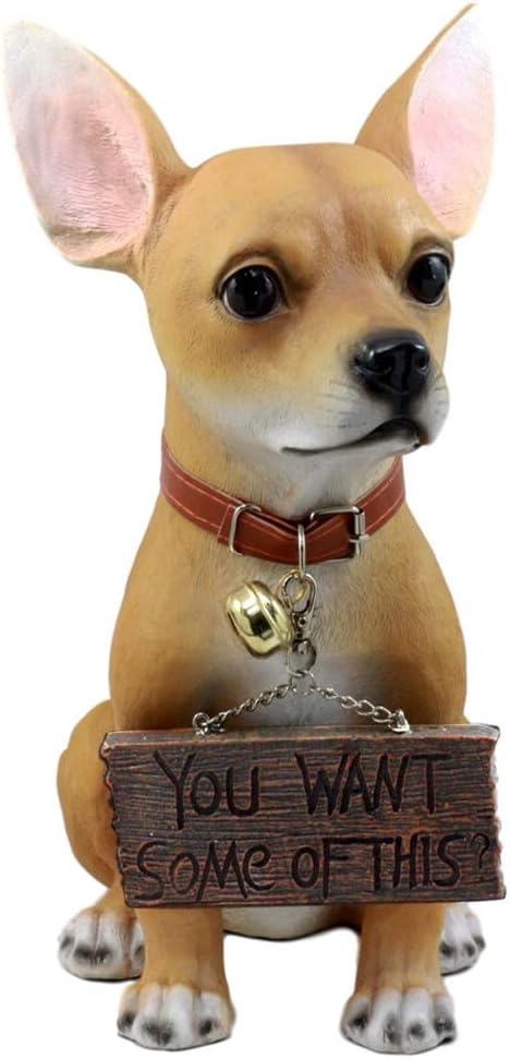 short coat chihuahua