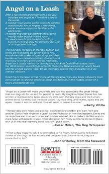 Angel on a leash Clearance