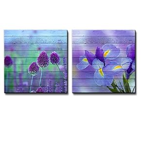 Purple Allium Giganteum Flower Field Along with Purple...