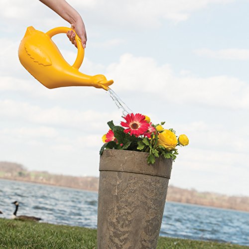 Lucky Duck Watering Can - Image 4
