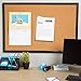 Blue Summit Supplies 24 Inch x 36 Inch Corkboard with Black Wood Frame, Bulletin Board with Included Push Pins for Office, Classroom, or Home, Mounting Hardware Included
