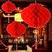 zhumutang Red Lantern 10 inches Waterproof for Festival & Celebration,Set of 10. (1) (RED)