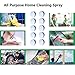 Multi Functional Effervescent Spray Cleaner Set, All Purpose Home Cleaning Effervescent Spray Cleaner Car Windshield Glass Washer Tablets Cleaner Concentrate Cleaning Tool- 10pcs with Bottle