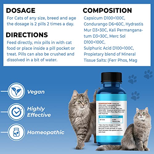 BestLife4Pets Oral Health for Cats Cat Dental Care Supplement; Anti