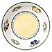 French Garden Pasta Bowl Set of 6 by Villeroy & Boch Porcelain Material - Made in Germany - Microwave and Dishwasher Safe - 9.25 Inches