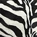 Brentwood Animal Fur Bedrest, Zebra