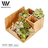 MobileVision Bamboo Succulent Plant Holder Desktop Organizer for Pens Pencils Files & Notepads; Gift for Back to School Teachers Employees Assistants