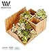 MobileVision Bamboo Succulent Plant Holder Desktop Organizer for Pens Pencils Files & Notepads; Gift for Back To School Teachers Employees Assistants