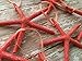 Starfish Christmas Tree Ornaments (Coral)