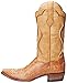 Dan Post Men's Okeechobee Western Boot
