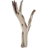 Koyal Wholesale 12&rdquo; Driftwood Terrarium Decor, Clean California Manzanita Drift Wood Reptile Decor, Driftwood Decor for Home, Desert Reptile Supplies