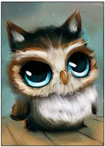 Miss 2 DIY 5D Full Drill Diamond Sticker Cross Stitch Painting Kits for Adult and Children Arts Crafts Home Decor Owl Bird 30 x 20cm (11.8" x 7.8")
