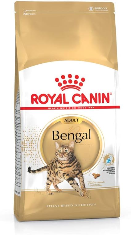 best bengal kitten food