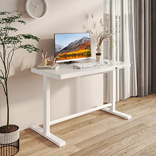 AITERMINAL Electric Standing Desk with Drawers, Height Adjustable Sit