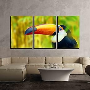 3 Piece Canvas Wall Art - Colorful Toucan Bird Profile Photo - Modern Home Art Stretched and Framed Ready to Hang - 16"x24"x3 Panels