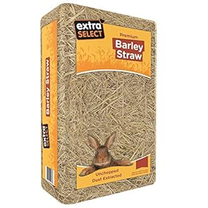 Extra-Select-Barley-Straw-Large-3-x-2-kg Extra Select Barley Straw Large 2 kg (Pack of 3)