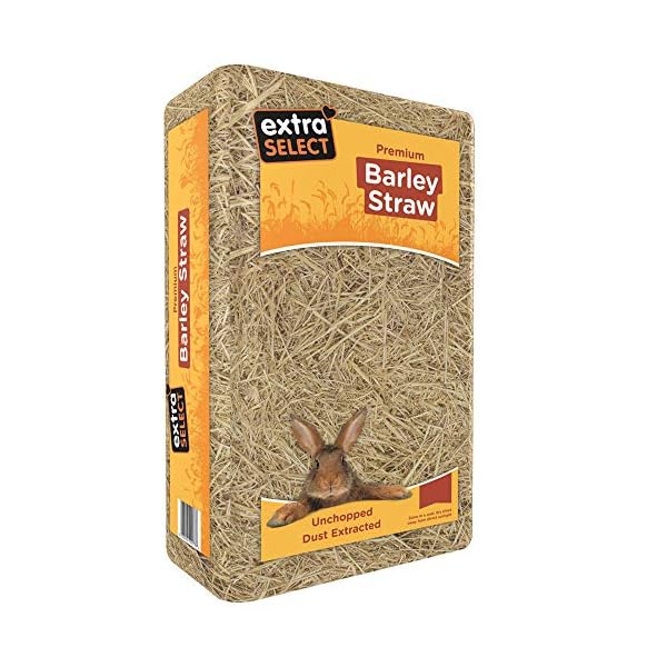 Extra Select Barley Straw Large 2 kg (Pack of 3)