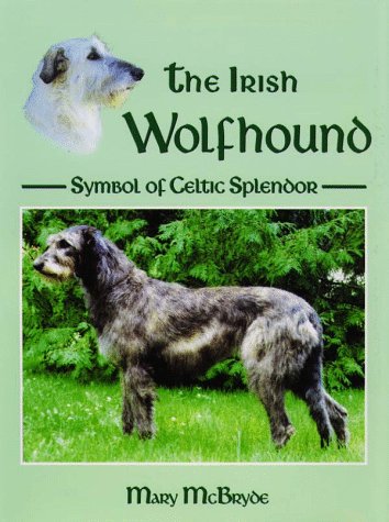 celtic wolfhound