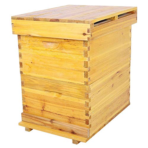 Bienenstock, Bee Hive Kit abschließen 10-Rahmen-Imkerbox-Kit Zedernholz