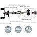 KastKing Royale Legend GT/Whitemax Baitcasting Reels, New Low Profile Design Fishing Reel, Magnet Braking System, 17.6 Lbs Carbon Fiber Drag, 5+1 Shielded Stainless Steel Bearings