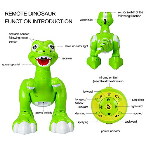 DX DA XIN Interactive Robot Dinosaur , Dancing, Music ,Walking , Spraying Mist Out of his Mouth Remote Control Toys Robotic Tyrannosaurus Rex, Gift for Children
