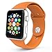 HuanlongTM New Soft Silicone Sport Style Replacement Iwatch Strap Band for Apple Wrist Watch Series 1 Series 2 (Grapefruit 38mm S/M)
