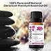 SenseLAB Geranium Essential Oil - 100% Pure Extract Geranium Oil - Therapeutic Grade Essential Oils - Rose Geranium Essential Oil Skin Care Oil - Relaxing and Soothing Oil - Aceite de Geranio (10 ml)