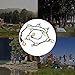 EILIKS Camping Lanyard with Hook, Camping Rope Tent Cord Camping Lanyard Storage Tent Accessories Hanging Lanyard Daisy Chain - for Camping Travel & Home Use, 118 inch with 12Pcs S-Shaped Carabiners