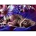 DIY 5D Diamond Painting Kits for Adults, 16X12inch Diamond Art Kits for Kids,Round Full Drill Gem Art Craft Perfect for Home Wall Decor,Easy for Beginners 30X40cm(Cat)