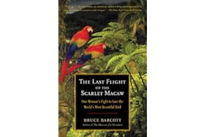 kindle best category lists