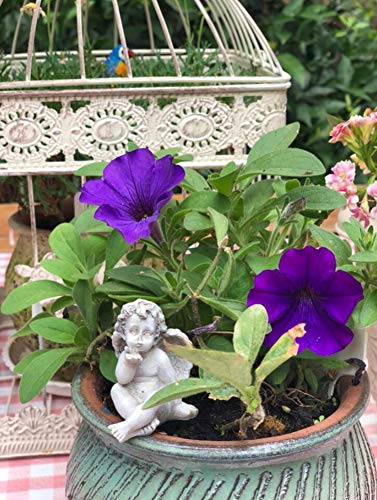 MUAMAX Angel Garden Stakes, Decorative Cherub for Fairy Graden Miniature Micro Landscape Ornament, Flowerpot Décor